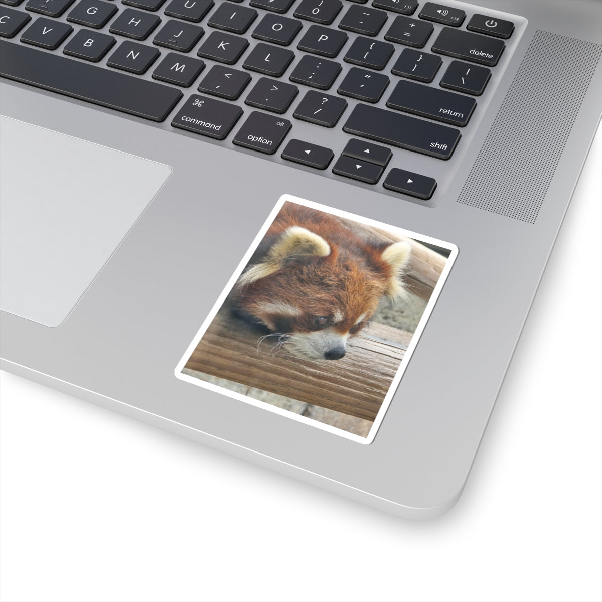 Adorable Red Panda Kiss-Cut Stickers | Cute Animal Decoration for Laptops, Journals, Scrapbooking, Gifts, Kids