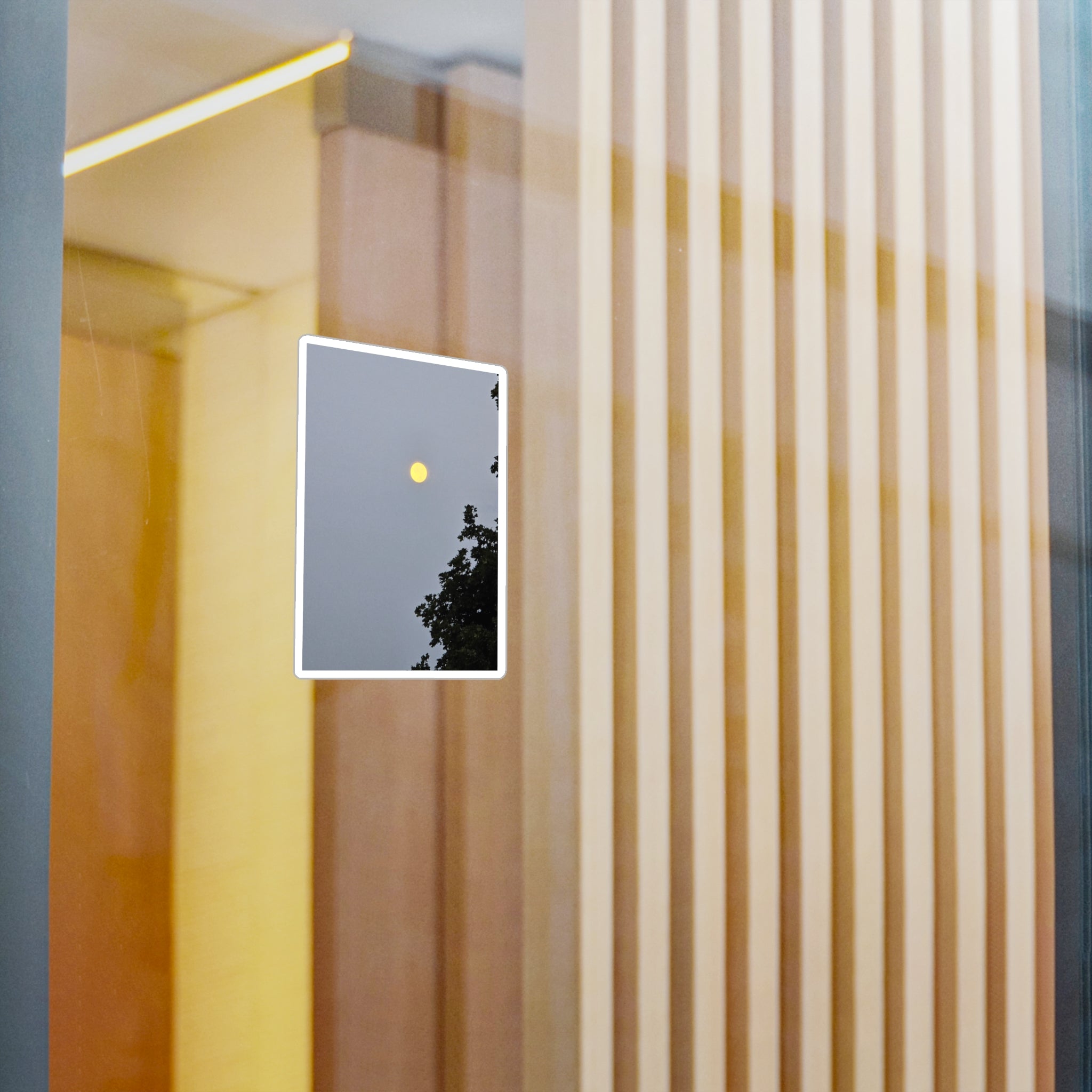 Decorative Vinyl Decal, full moon Sticker, Nature Home Decor, Window Stickers,