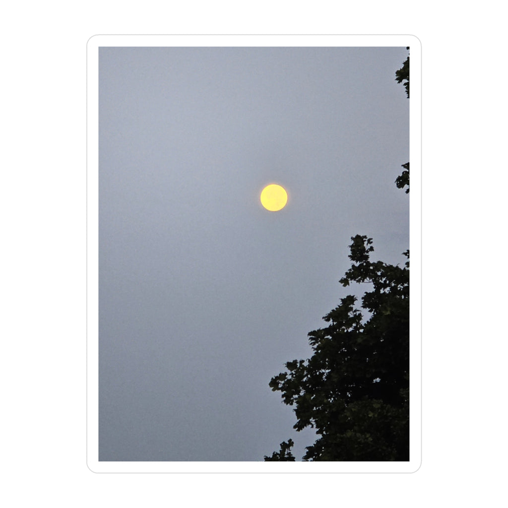 Decorative Vinyl Decal, full moon Sticker, Nature Home Decor, Window Stickers,