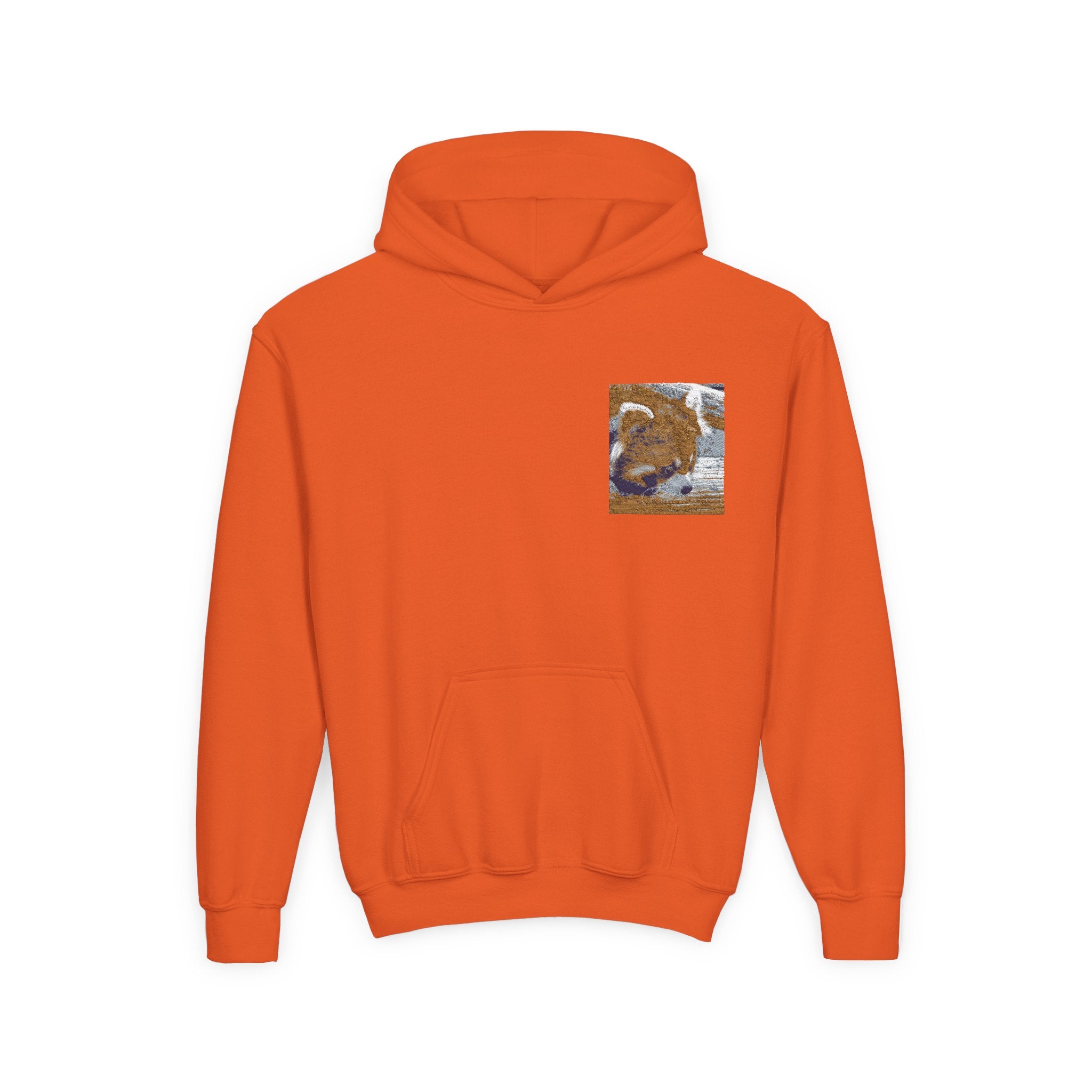Red Panda Hoodie - Youth